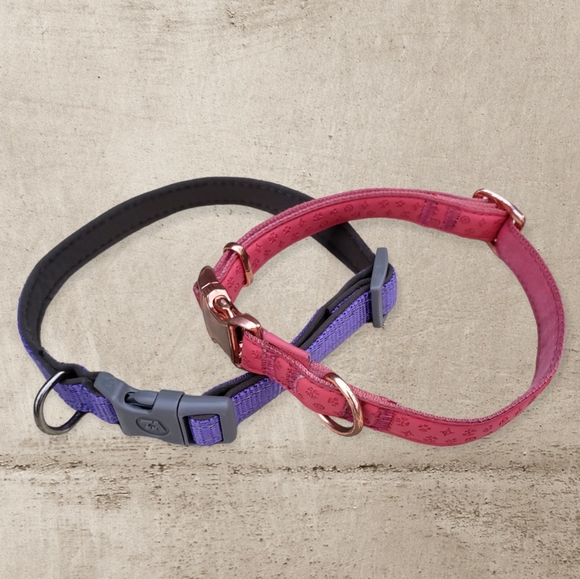 💜💟 Dog 🐕 Collars - Picture 2 of 5